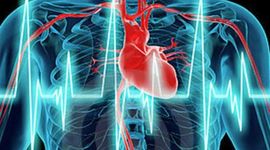 Timeline: Medicina crítica