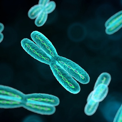 Timeline: Historia de la genetica