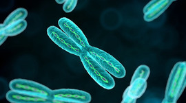 Timeline: Historia de la genetica