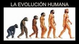 Timeline: Evolucion del hombre