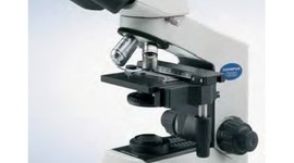 Timeline: microscopio