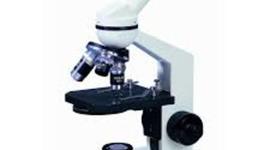 Timeline: MICROSCOPIO Martu y Juli