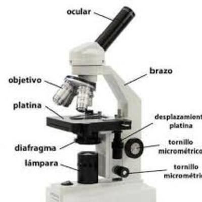 Timeline: El Microscopio
