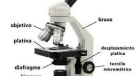Timeline: El Microscopio
