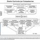 5 disec3b1o curricular por competencias