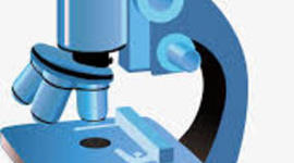 Timeline: Myler,Colo,Ponzo,MR BRESLI