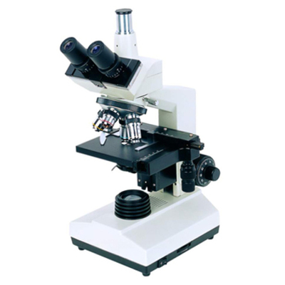 Timeline: El Microscopio