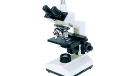 Timeline: El Microscopio