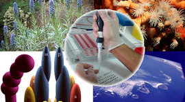 Timeline: HISTORIA DE LA MICROBIOLOGÍA - NARRATIVA DIGITAL_CASELLES