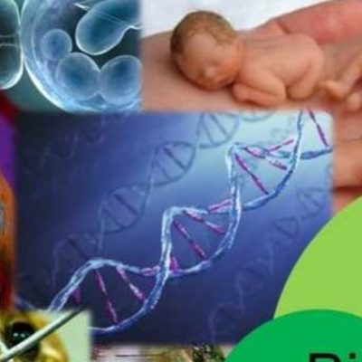 Timeline: Linea del tiempo bioetica