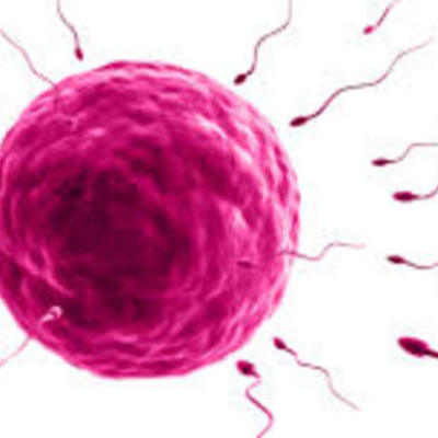 Timeline: Reproducción Humana a lo largo de la historia