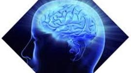 Timeline: historia del ingles