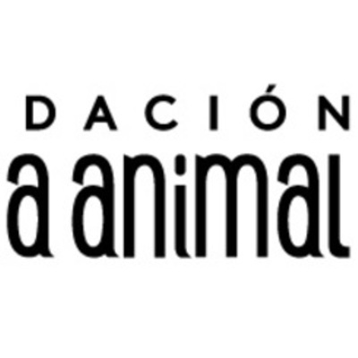 Timeline: Fundación Alma Animal