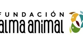 Timeline: Fundación Alma Animal