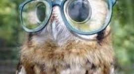 Timeline: Planeacion