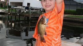 Timeline: Luke Cooper