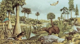 Timeline: Era Cenozoica