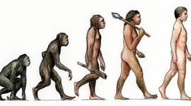 Timeline: La Hominización