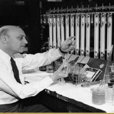 Timeline: Línea de Tiempo Evolución del Concepto de RED