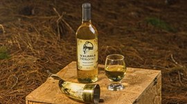 Timeline: Consumo de SPA a lo largo de la historia