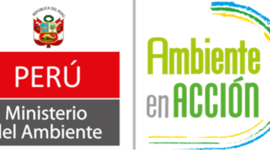 Timeline: El Proceso a nivel Nacional