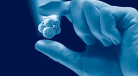 Timeline: La Bioética en la Práctica Clínica