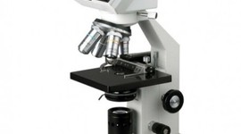 Timeline: EVOLUCIÓN DEL MICROSCOPIO