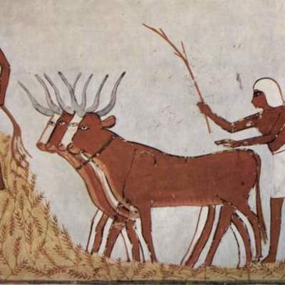 Timeline: Primeras Sociedades Antiguas