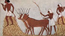 Timeline: Primeras Sociedades Antiguas