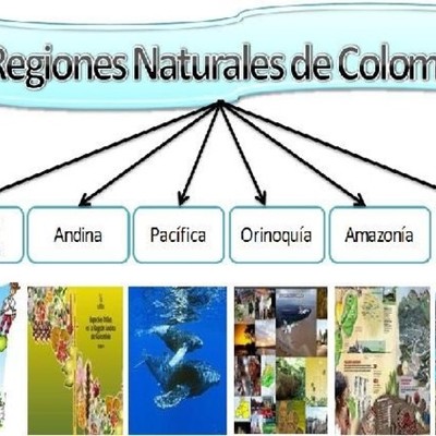 Timeline: REGIONES NATURALES DE COLOMBIA