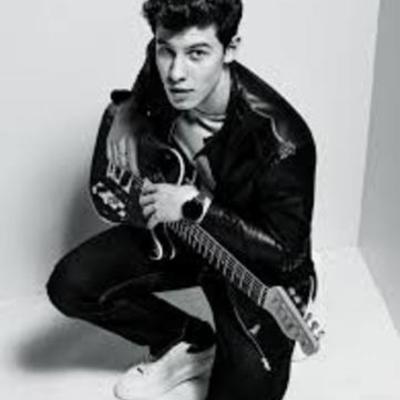 Timeline: Shawn Mendes`s life