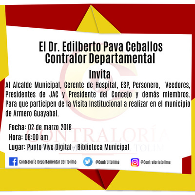 Timeline: Visita Institucional