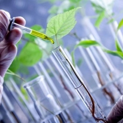 Timeline: Historia de la Biotecnología