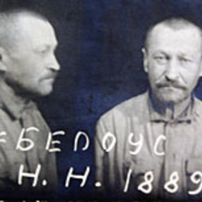 Timeline: Реакция крестьян на коллективизацию на примере дневника Нестора Белоуса