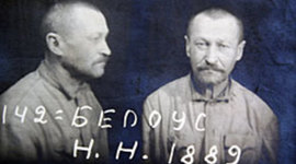 Timeline: Реакция крестьян на коллективизацию на примере дневника Нестора Белоуса