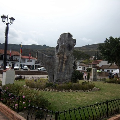 Timeline: Cuidado del medio ambiente