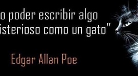 Timeline: 8 clasicos de la literatura universal