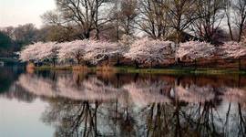 Timeline: Les saisons