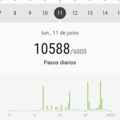 Timeline: Segunda y última semana de recuperación