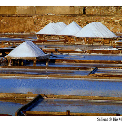 Timeline: História das salinas