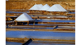 Timeline: História das salinas