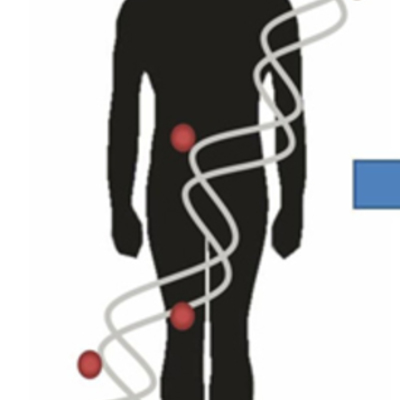 Timeline: Epigenética