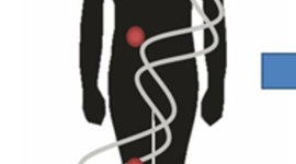 Timeline: Epigenética