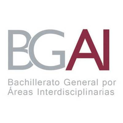 Timeline: Responsabilidades del asesor en el BGAI