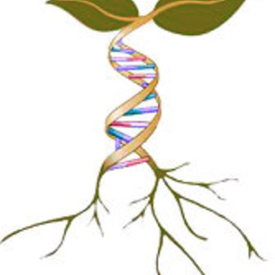 Timeline: Biotecnología