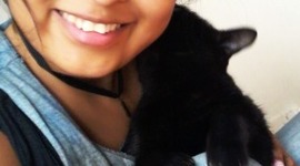 Timeline: Linea de tiempo