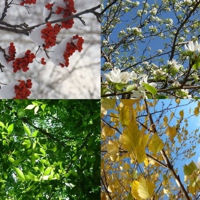 Timeline: Явления природы. Времена года.