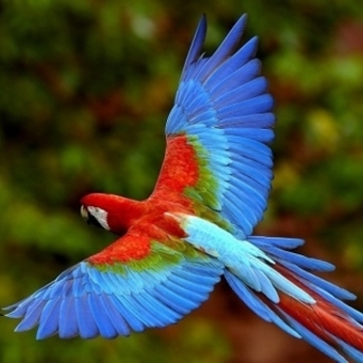 Timeline: DESARROLLO DE VIDA