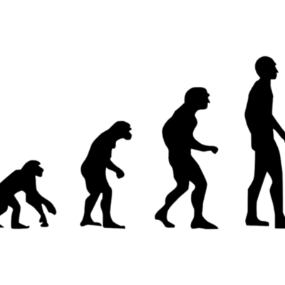 Timeline: EVOLUCIÓN DEL SER HUMANO