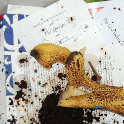 Timeline: The Great Desecration